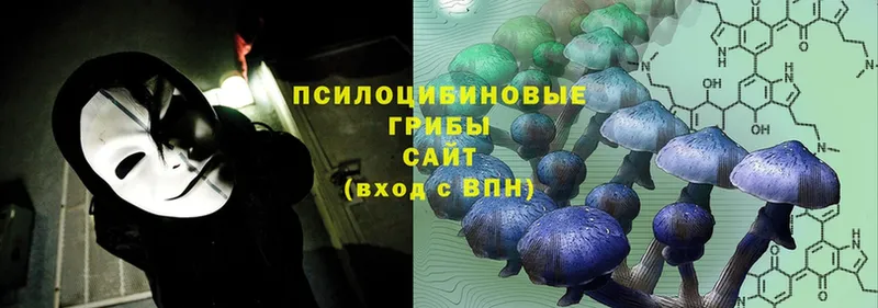 Галлюциногенные грибы MAGIC MUSHROOMS  Кинешма 